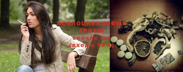 a pvp Алексеевка