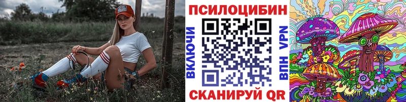 наркошоп Усть-Илимск Псилоцибиновые грибы Magic Shrooms