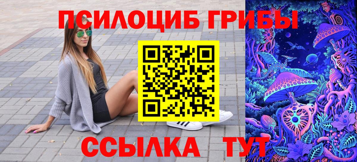 Псилоцибиновые грибы Psilocybe  Вход с VPN  Усть-Илимск 